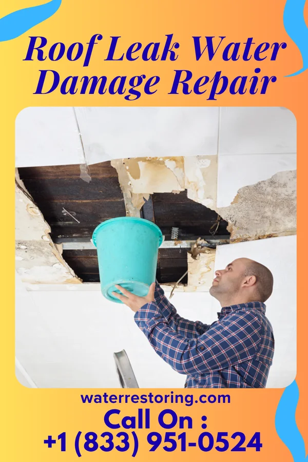 Roof Leak Water Damage Repair in Brackettville, TX